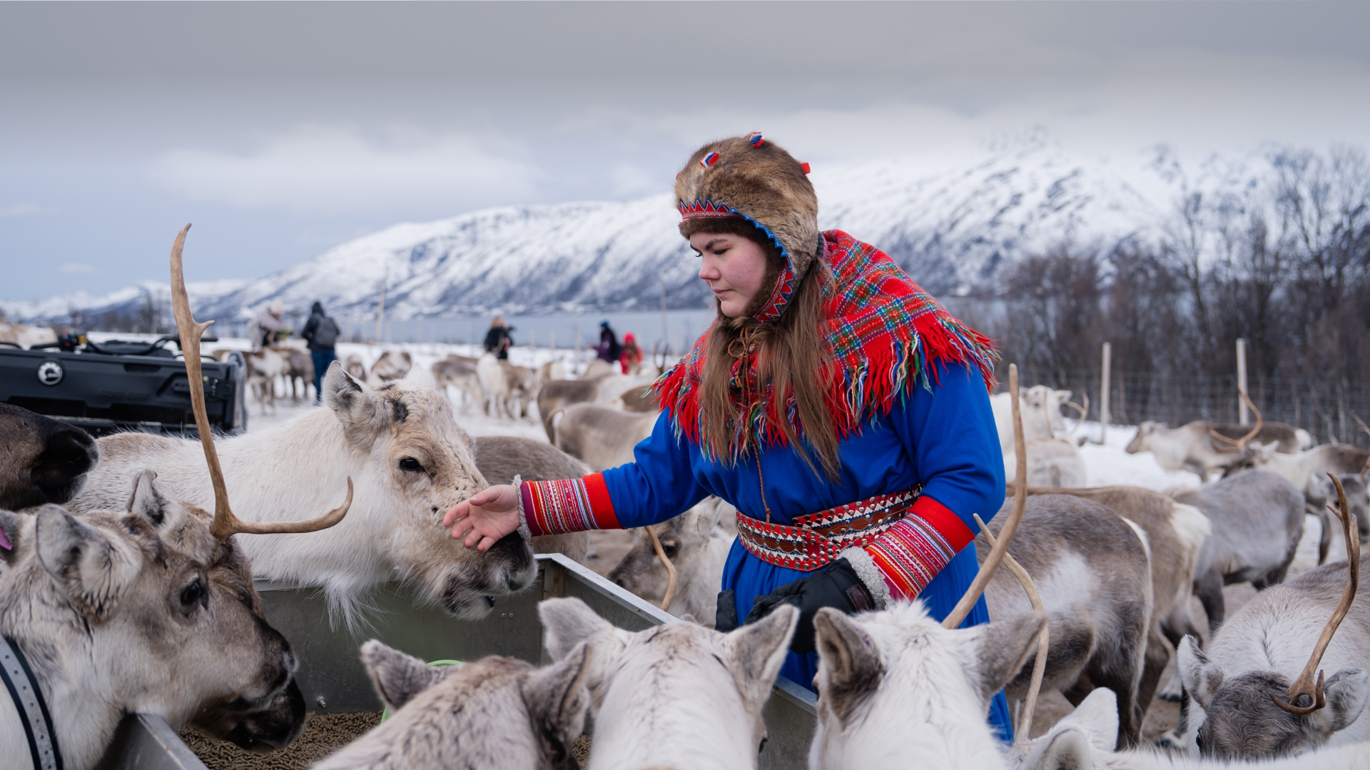 ARTIGO - Biohistória - Renas salvam florestas- 1920x1079 - 2 (2)